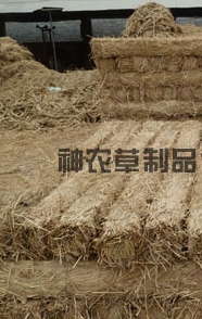 給樹(shù)干綁草繩有什么影響？